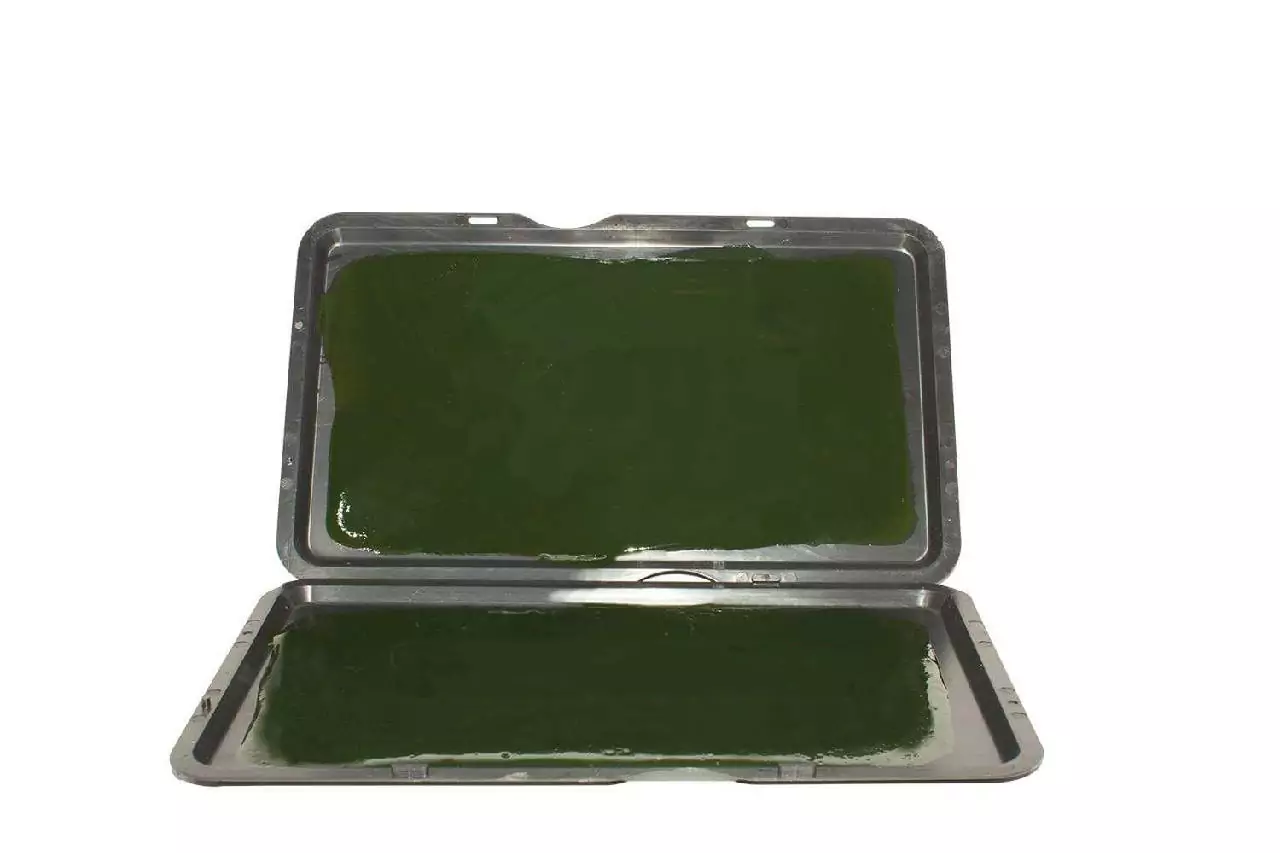 Rodent Glue Boards (x2)