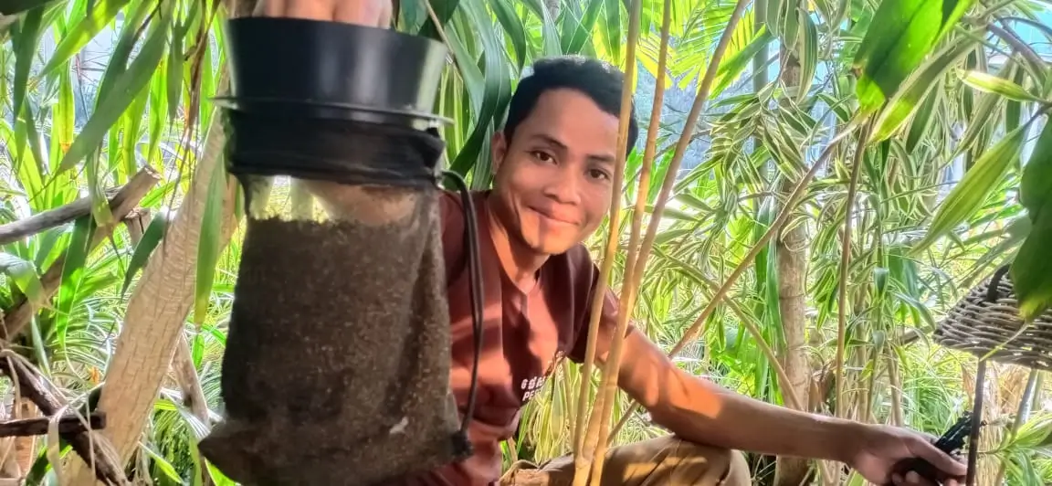 Field technician inspecting a Biogents CO2 mosquito trap in Cambodia